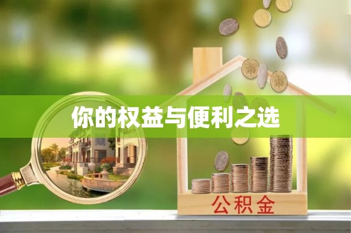 费县你的权益与便利之选