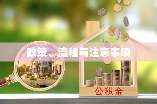 费县政策、流程与注意事项
