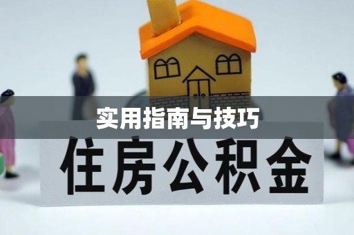 费县实用指南与技巧