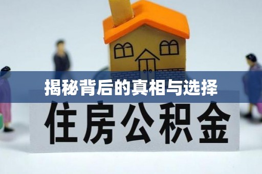 费县揭秘背后的真相与选择