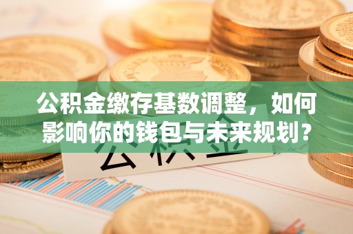 费县公积金缴存基数调整，如何影响你的钱包与未来规划？