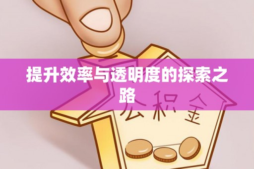 费县提升效率与透明度的探索之路