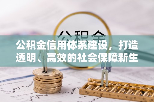 费县公积金信用体系建设，打造透明、高效的社会保障新生态