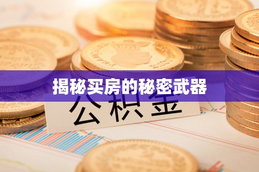 费县揭秘买房的秘密武器