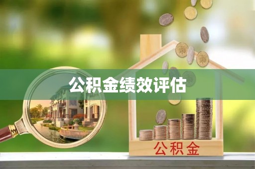 费县公积金绩效评估
