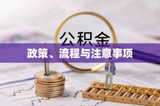 费县政策、流程与注意事项
