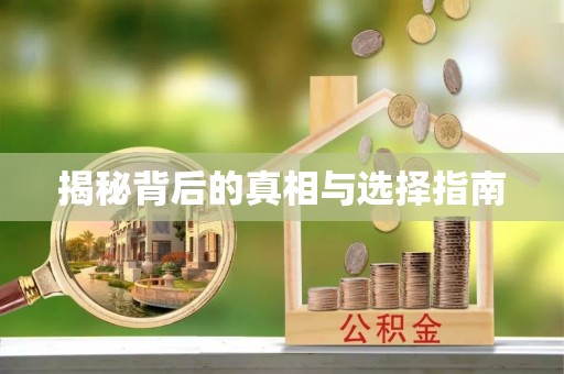 费县揭秘背后的真相与选择指南