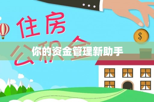 费县你的资金管理新助手