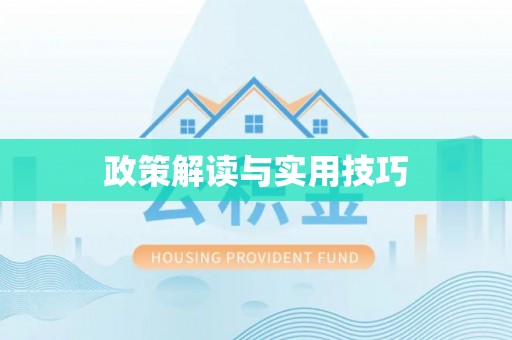 费县政策解读与实用技巧