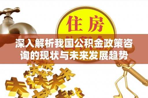 费县深入解析我国公积金政策咨询的现状与未来发展趋势