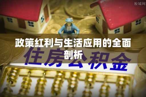 费县政策红利与生活应用的全面剖析