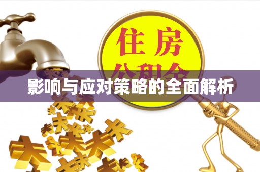 费县影响与应对策略的全面解析