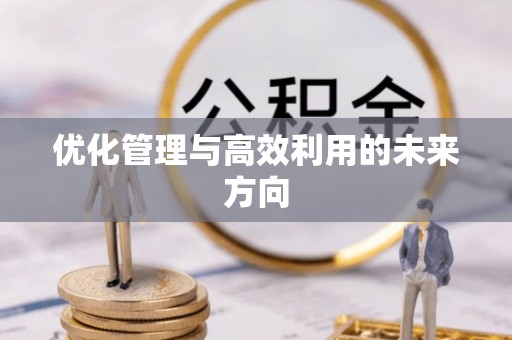 费县优化管理与高效利用的未来方向