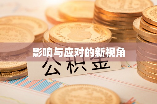 费县影响与应对的新视角