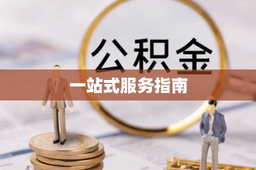 费县一站式服务指南