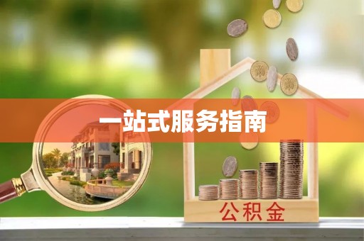 费县一站式服务指南