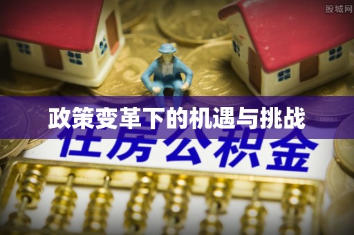 费县政策变革下的机遇与挑战