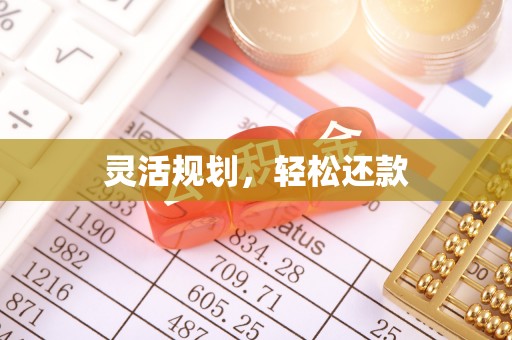 费县灵活规划，轻松还款