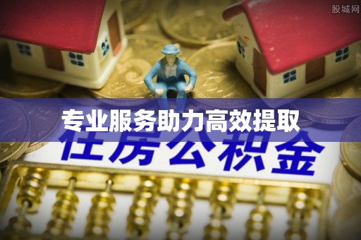 费县专业服务助力高效提取