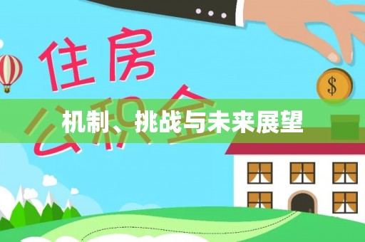 费县机制、挑战与未来展望