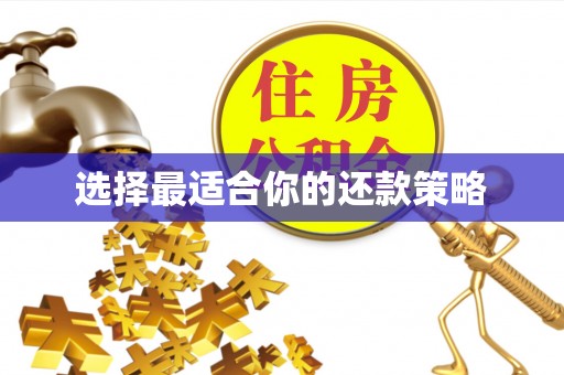 费县选择最适合你的还款策略