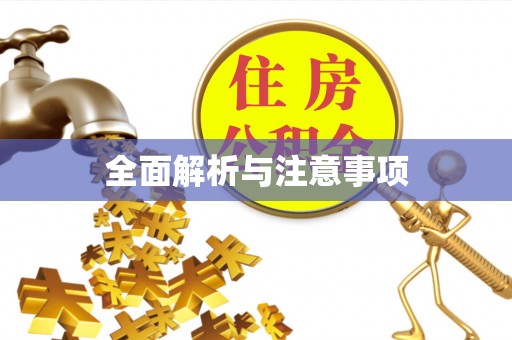 费县全面解析与注意事项