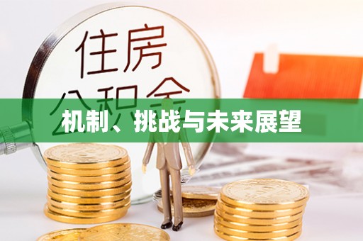 费县机制、挑战与未来展望